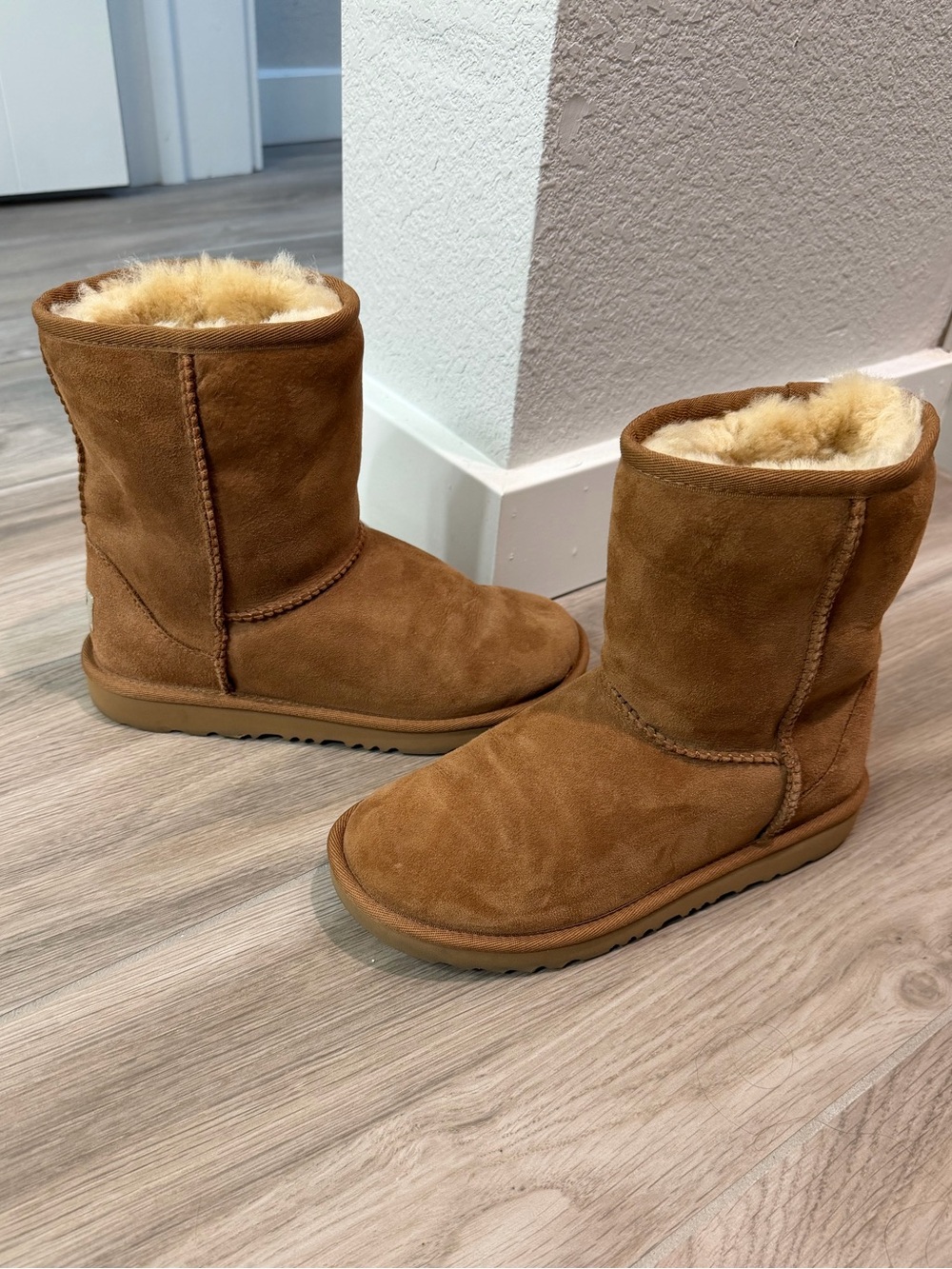 UGG Women's Chestnut Boots
